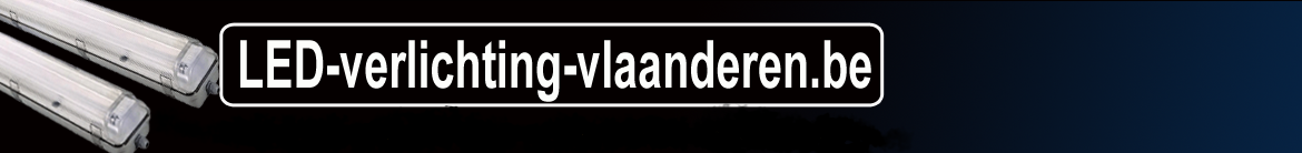 vlaanderen.be-new-2020-2.png